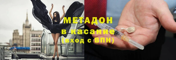 стаф Алзамай