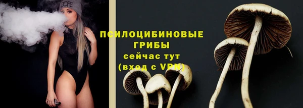 стаф Алзамай