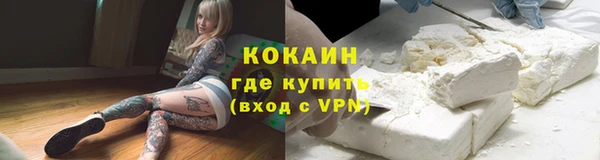 стаф Алзамай