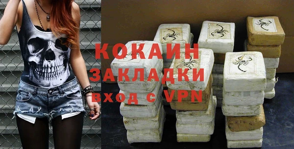 стаф Алзамай