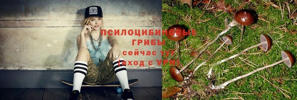 стаф Алзамай
