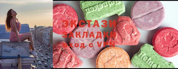 стаф Алзамай