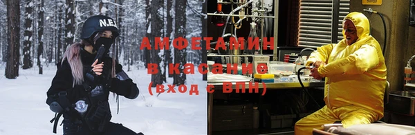 стаф Алзамай